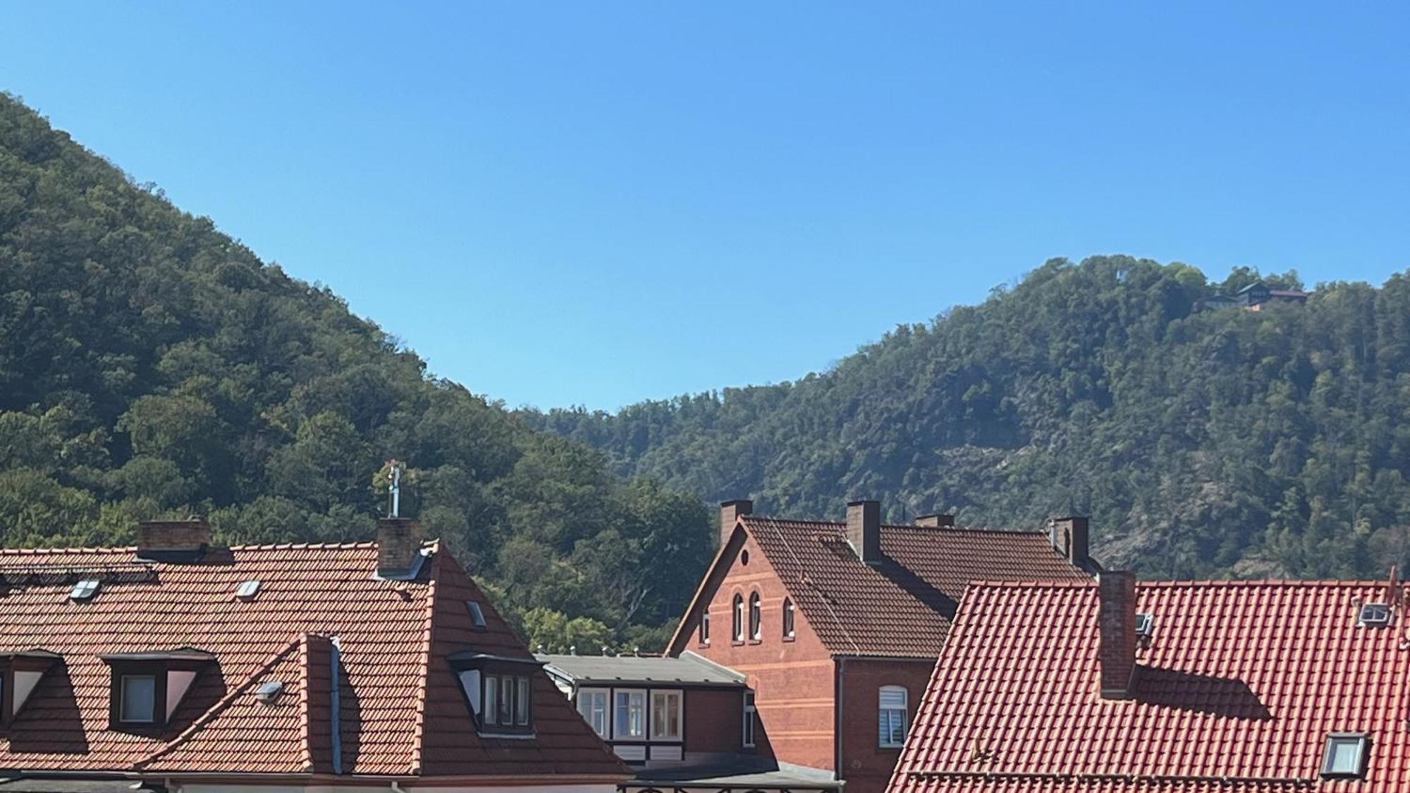 Apartament Rosstrappenblick Thale Zewnętrze zdjęcie